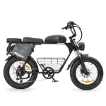 Bicicletta elettrica con sistema a doppia batteria