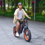 Bicicletta elettrica da città e fuoristrada
