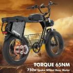 Bicicletta elettrica da 750 W