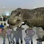 Animazione 3D di animali