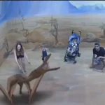Pannello murale zoo in realtà aumentata