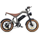 bici elettrica a lunga autonomia