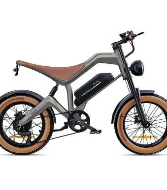 bici elettrica a lunga autonomia