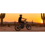 Bicicletta elettrica da 750 W