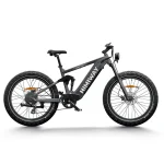 Bicicletta con batteria da 48 V 20 Ah