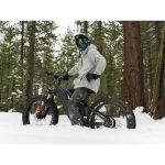 E-bike con pneumatici larghi