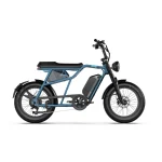 long range electric bike
