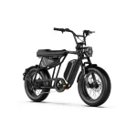 bici elettrica leggera