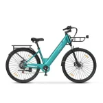 long range electric bike