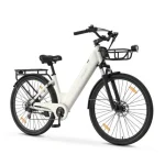 bici elettrica con pneumatici antiforatura