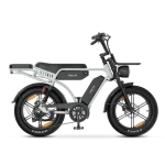 ebike premium