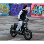 Bicicletta elettrica da 250 W