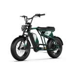 bicicletta elettrica con freno idraulico