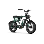 bici elettrica resistente all'acqua